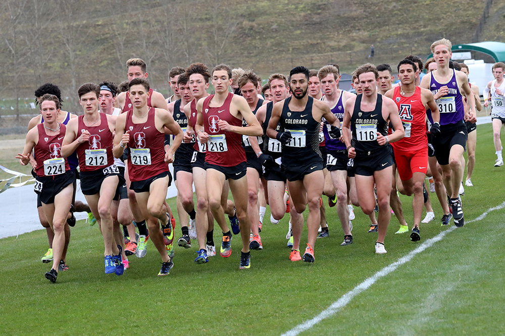 Preview — NCAA Men’s Cross Country Champs Track & Field News